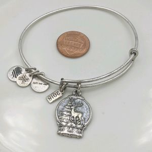 Alex and Ani Rafaleian Silver Snow Globe Bracelet